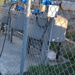 Meet your Posher, Jesus